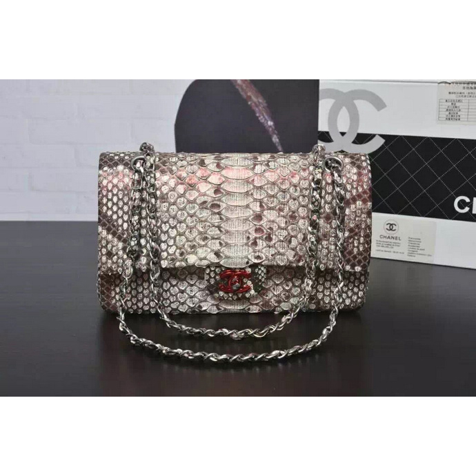 2016 Chanel 2.55 Series Flap Bag Real Python Leather 1112 with Silver