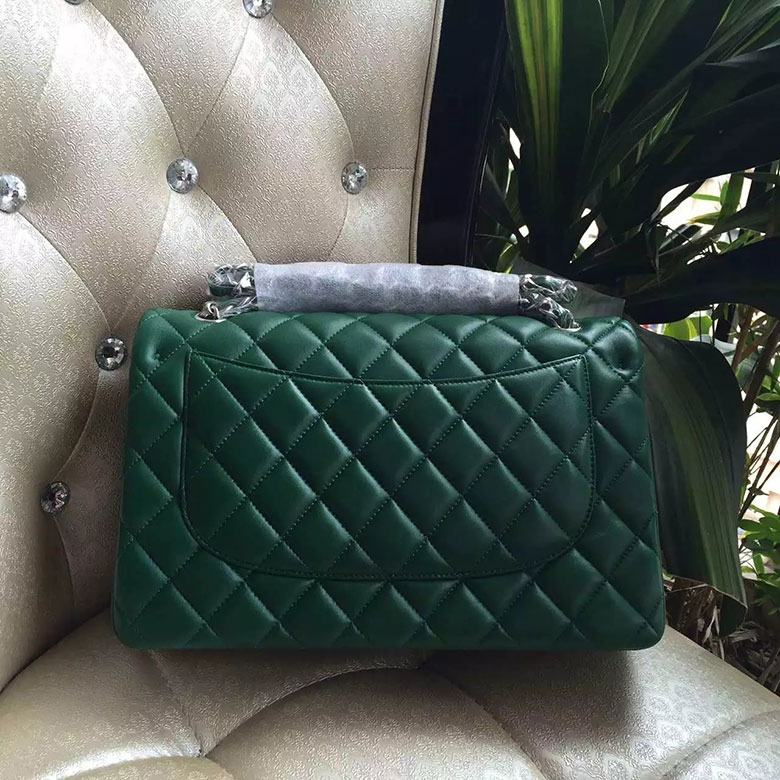 2016 Chanel Classic Flap Bag 1113 Green Original Sheekskin leather Silver Hardware