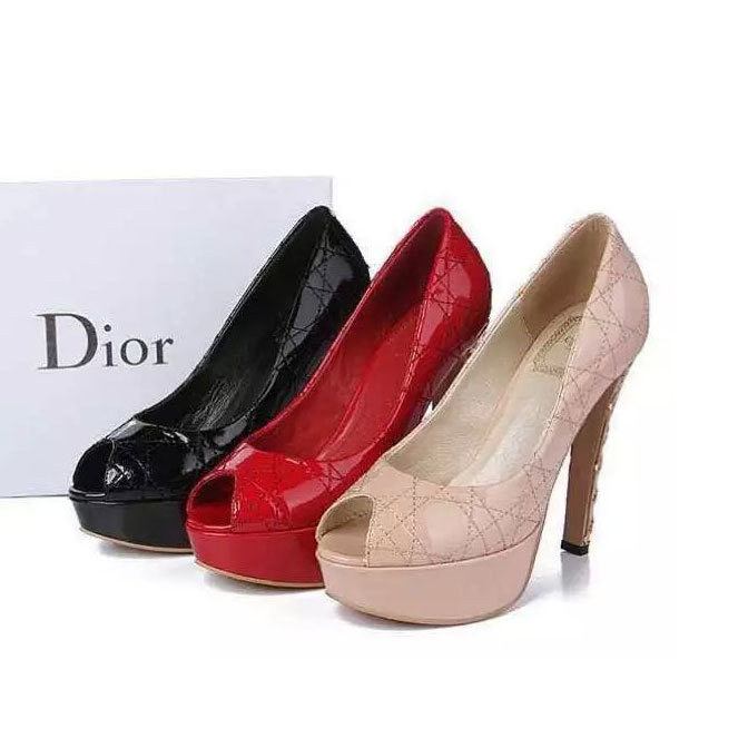 2016 Dior Cowhide leather shoes Heel Height 13cm