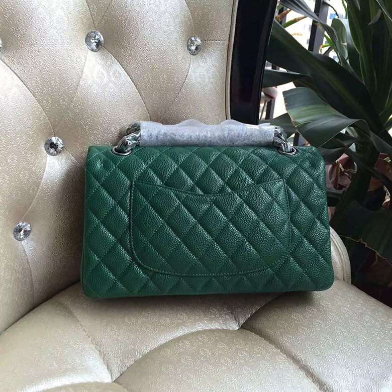 2016 New Chanel Classic Flap Bag 1112 Green Original leather Silver