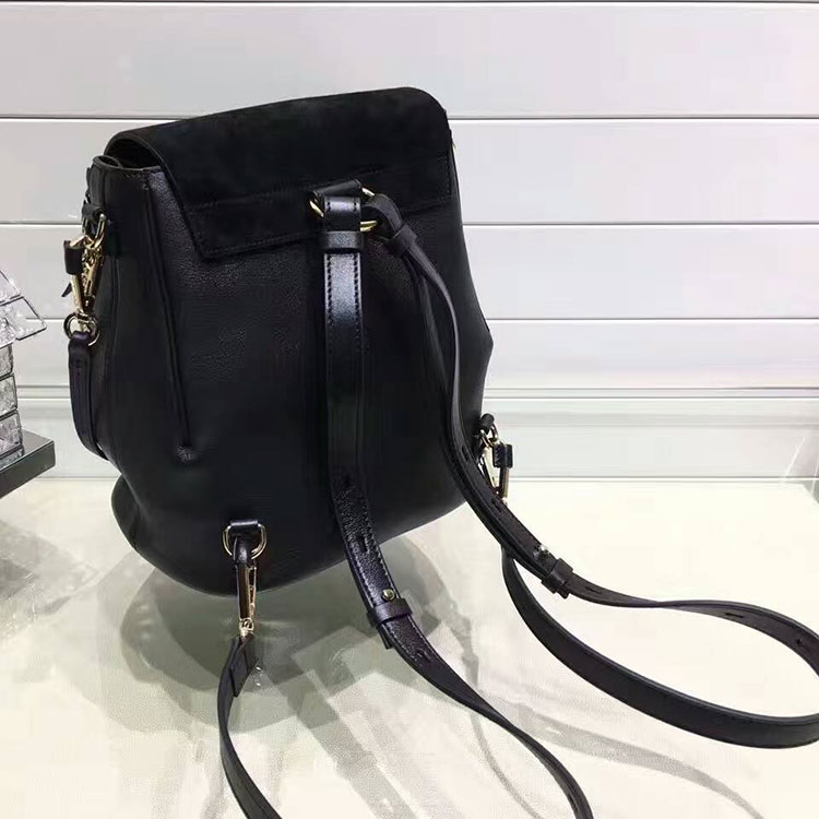 2017 Chloe FAYE BACKPACK 3S1192