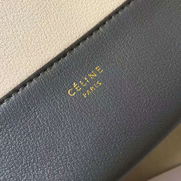 2018 CELINE MEDIUM FRAME BAG IN CALFSKIN