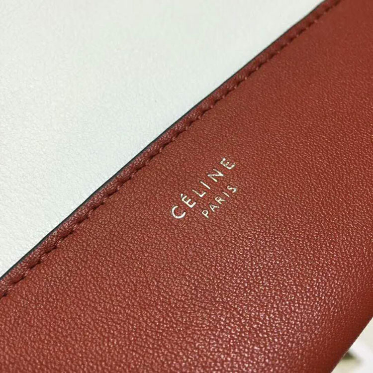 2018 CELINE MEDIUM FRAME BAG IN CALFSKIN