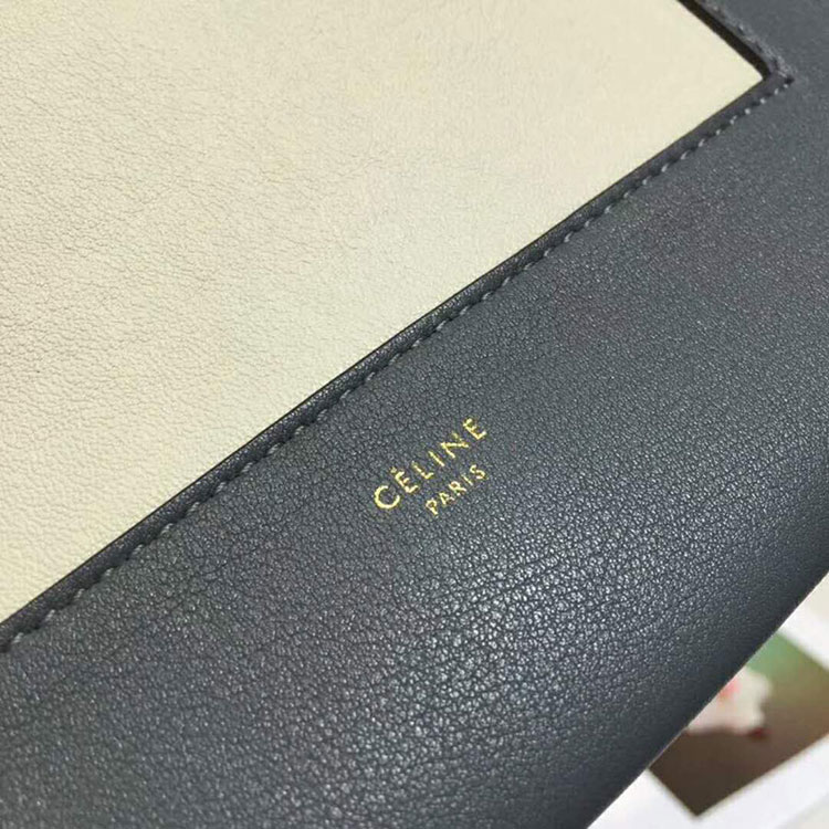 2018 CELINE MEDIUM FRAME BAG IN CALFSKIN