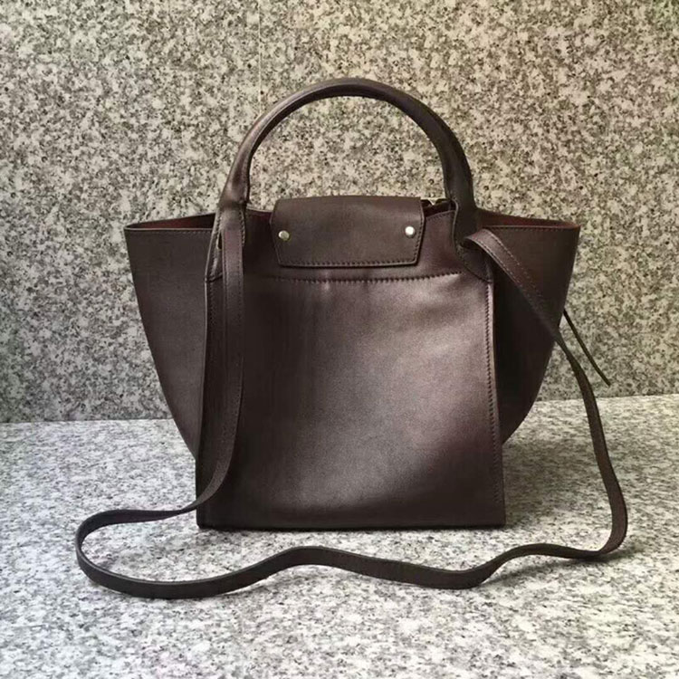 2018 CELINE SMALL BIG BAG WITH LONG STRAP IN CALFSKIN