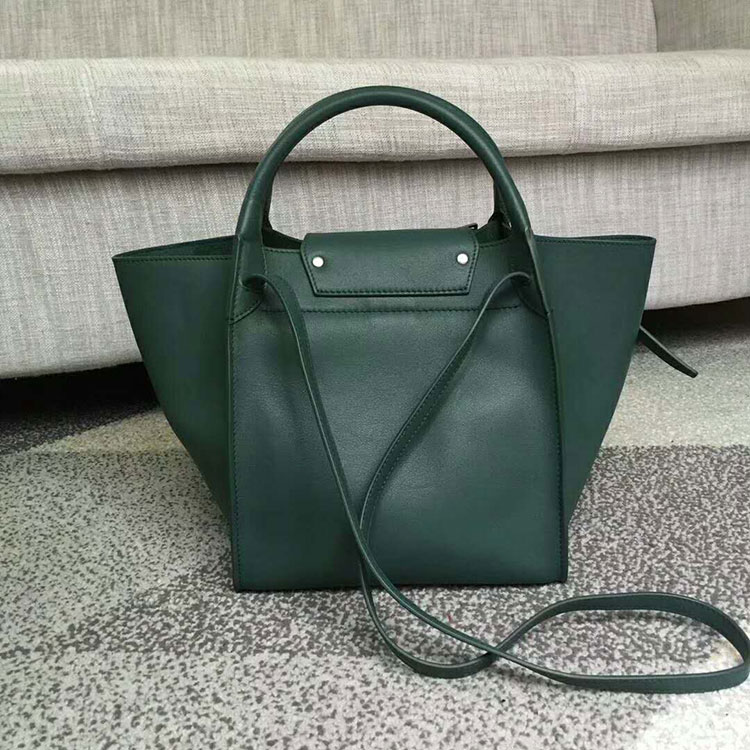 2018 CELINE SMALL BIG BAG WITH LONG STRAP IN CALFSKIN