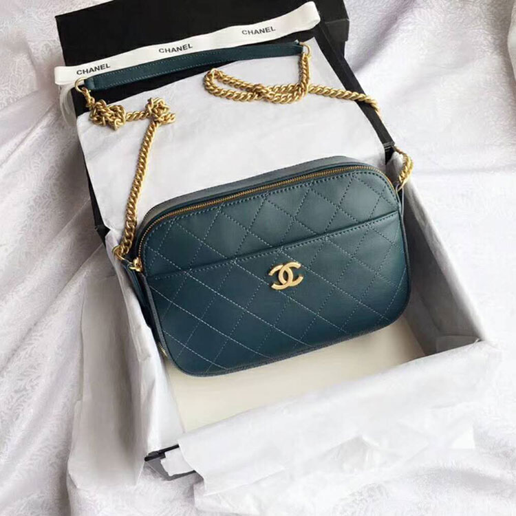 2018 Chanel Camera Bag