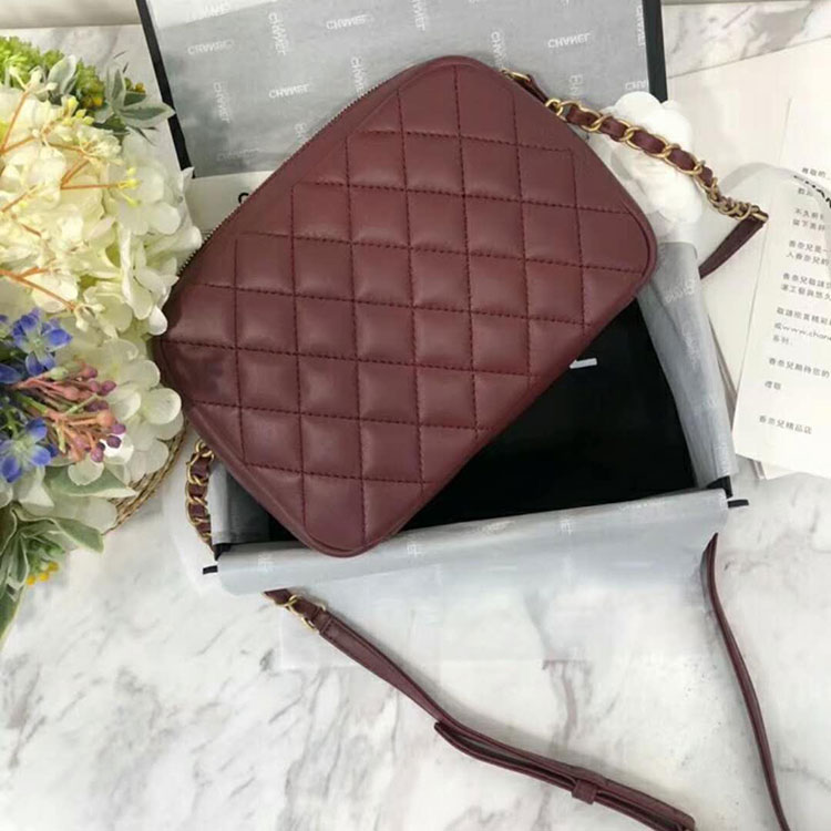 2018 Chanel Camera Bag