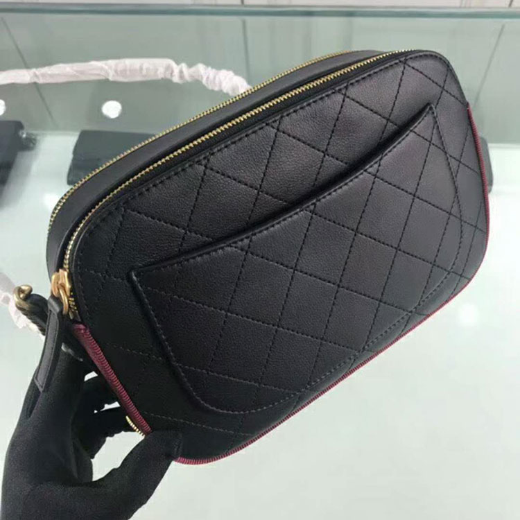 2018 Chanel Camera Bag