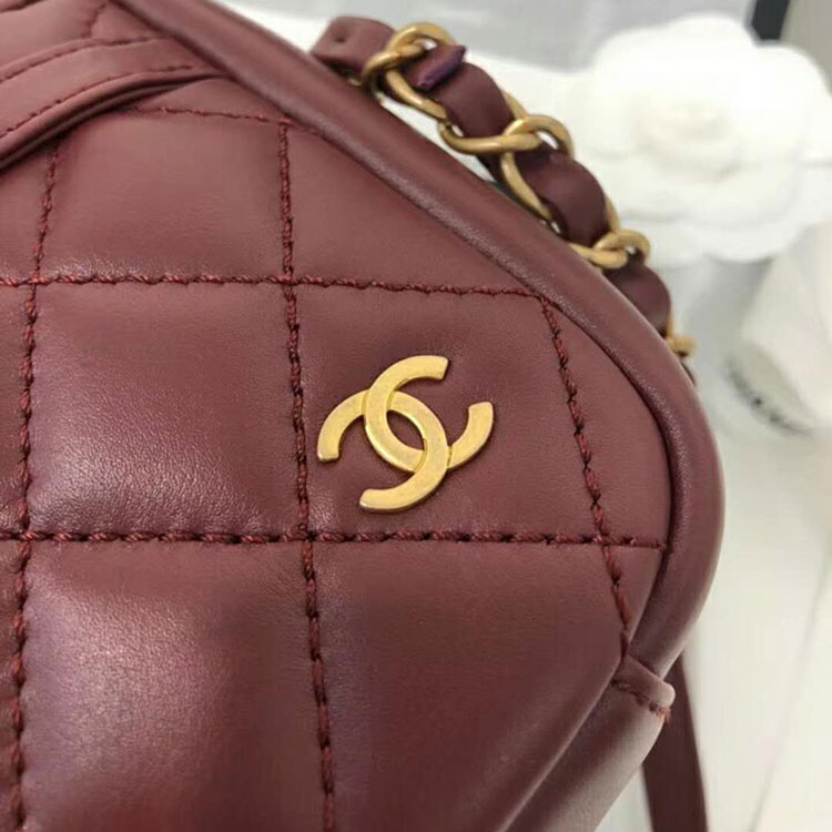 2018 Chanel Camera Bag