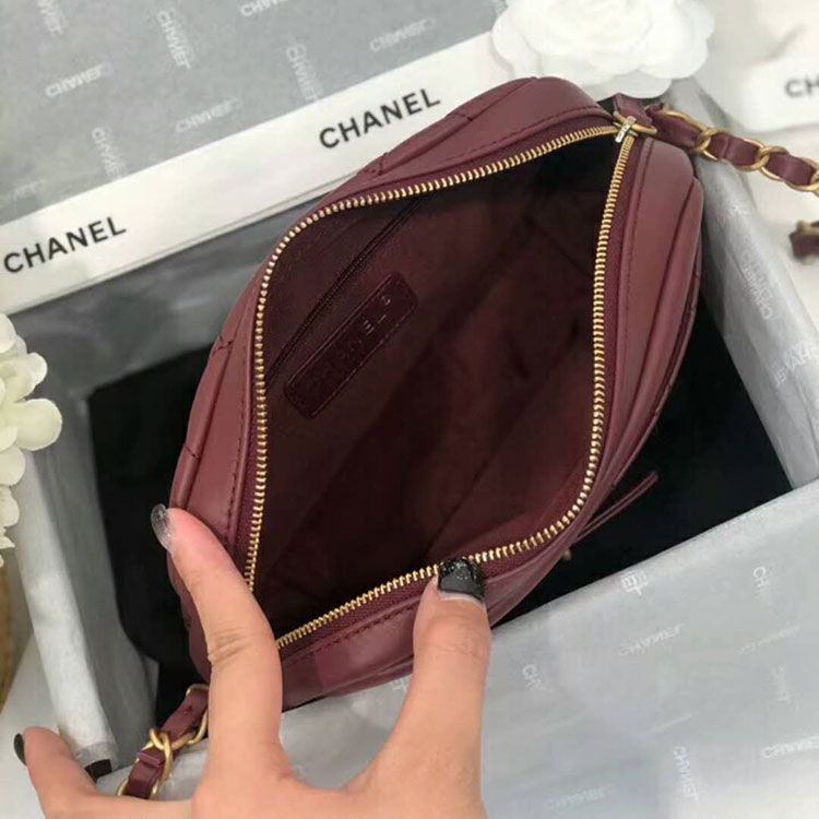 2018 Chanel Camera Bag