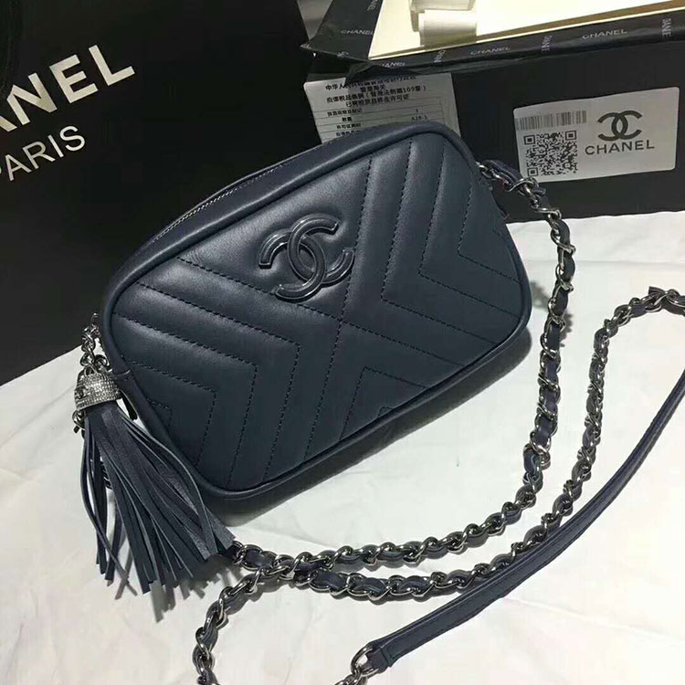 2018 Chanel Camera Case