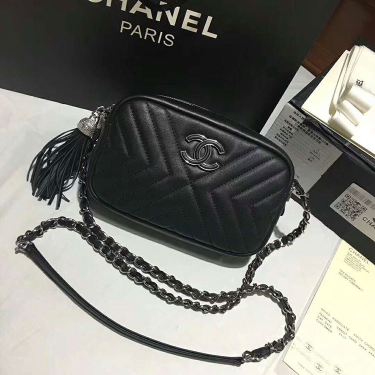 2018 Chanel Camera Case