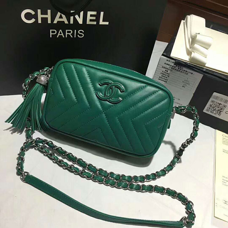 2018 Chanel Camera Case