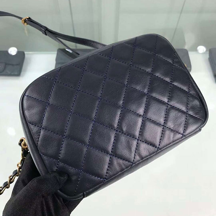 2018 Chanel Camera Case