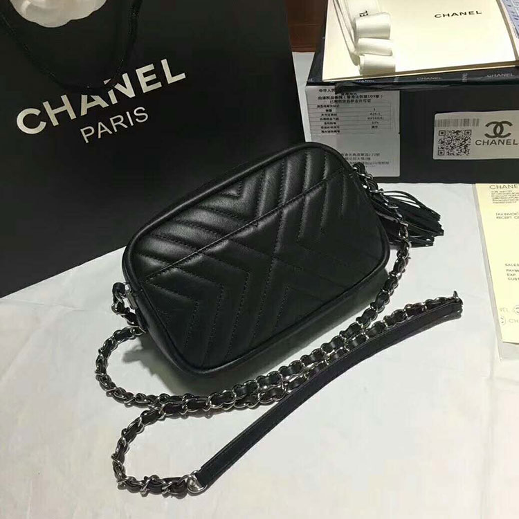 2018 Chanel Camera Case