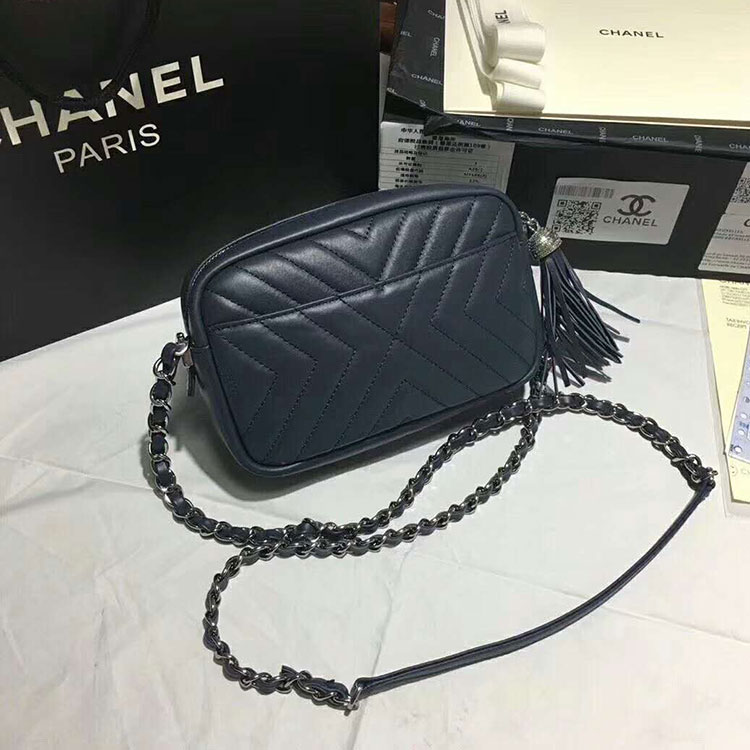 2018 Chanel Camera Case