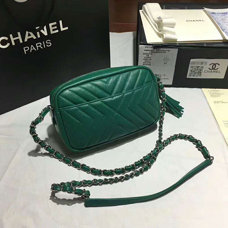 2018 Chanel Camera Case