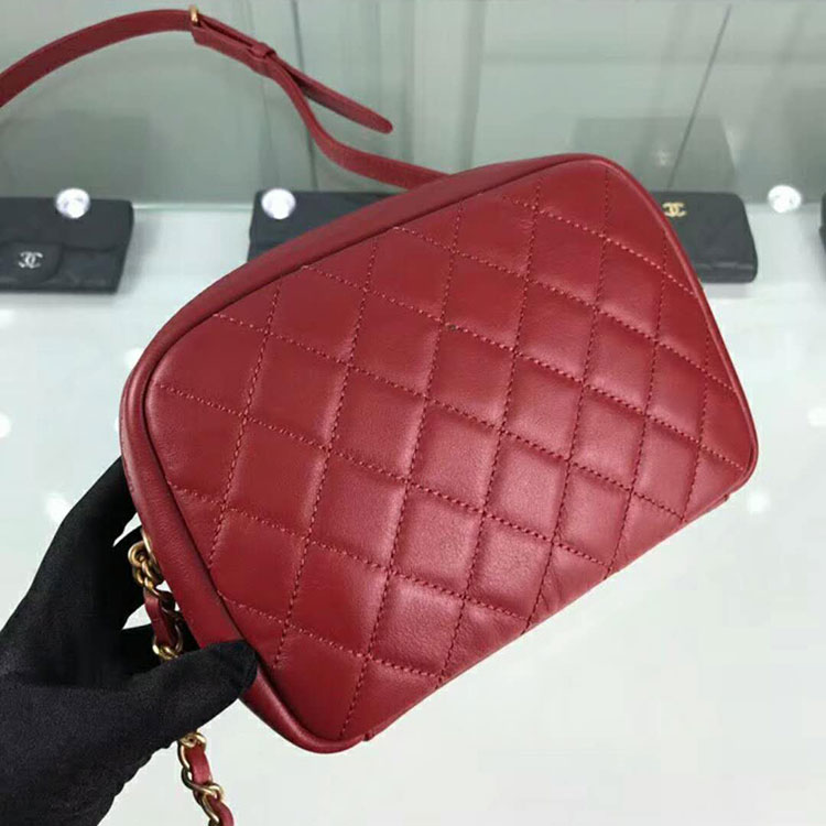 2018 Chanel Camera Case