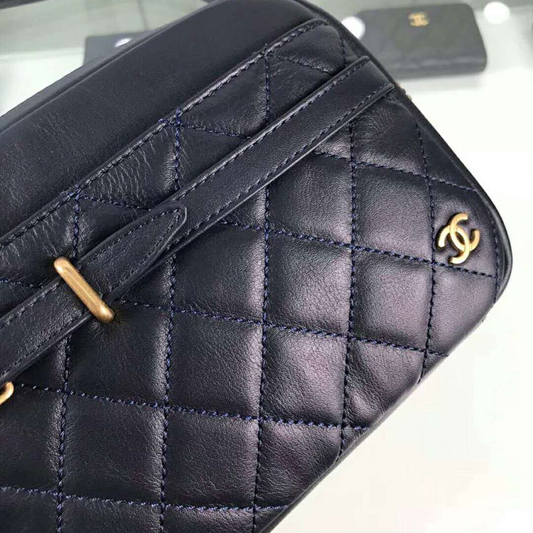 2018 Chanel Camera Case