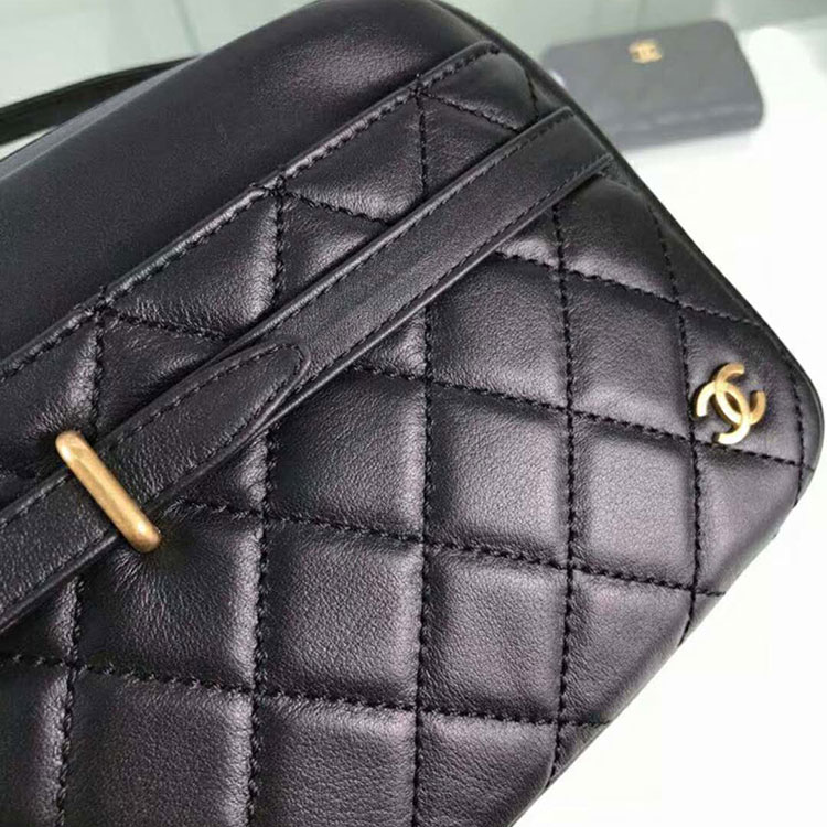 2018 Chanel Camera Case