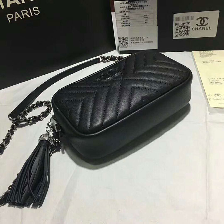 2018 Chanel Camera Case