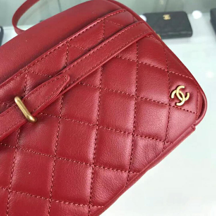 2018 Chanel Camera Case