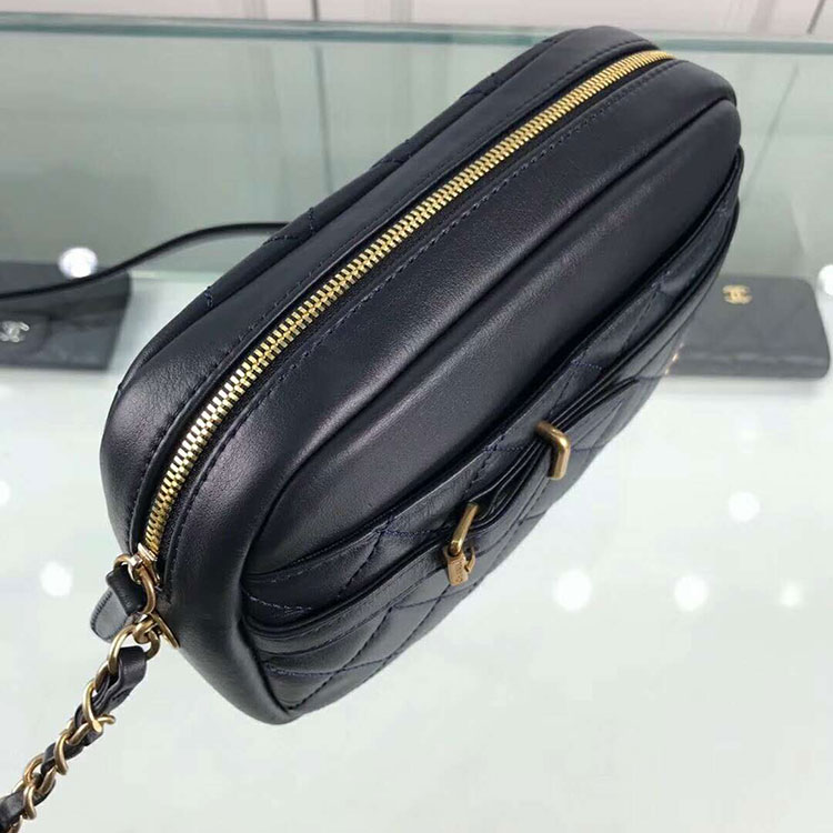 2018 Chanel Camera Case