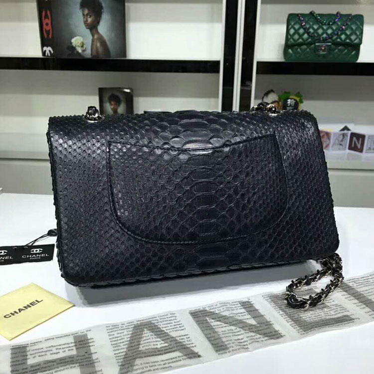 2018 Chanel Classic Flap Bag Original Python Leather