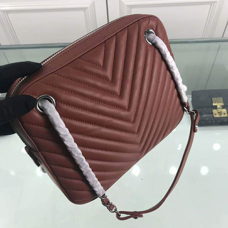 2018 Chanel Paris Hamburg Camera Case