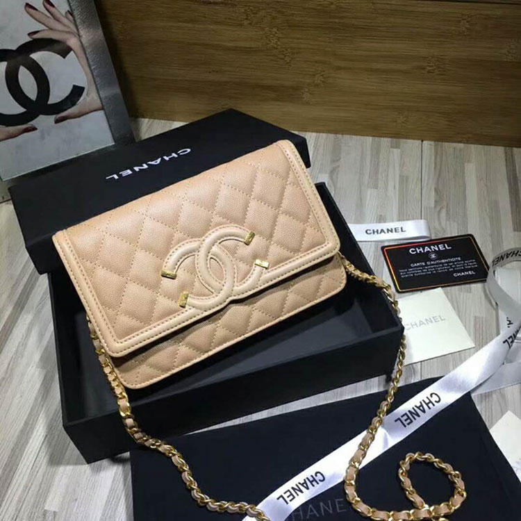 2018 Chanel WOC Mini Flap Bag