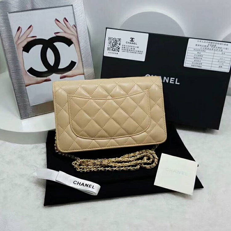 2018 Chanel WOC Mini Flap Bag