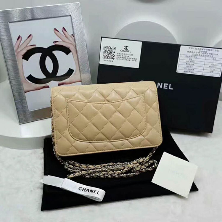 2018 Chanel WOC Mini Flap Bag