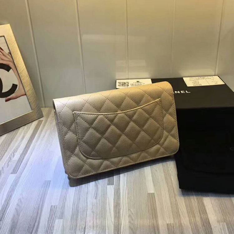 2018 Chanel WOC Mini Flap Bag