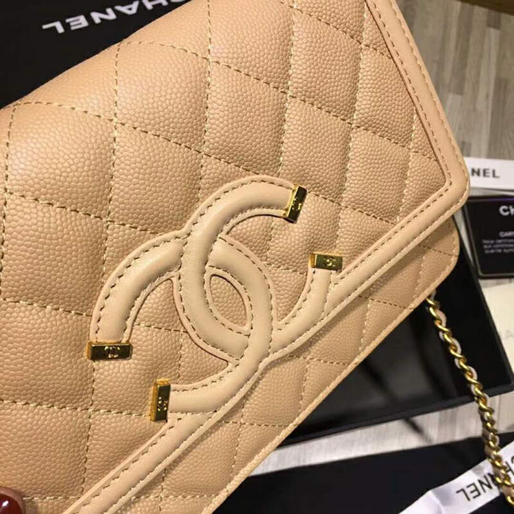 2018 Chanel WOC Mini Flap Bag