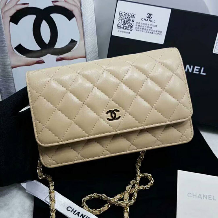 2018 Chanel WOC Mini Flap Bag