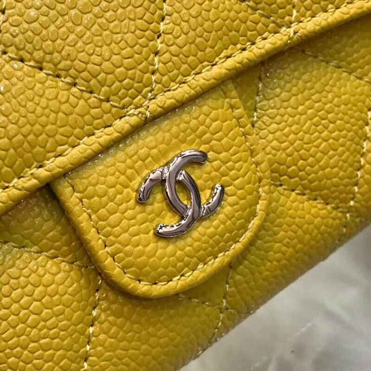 2018 Chanel wallet