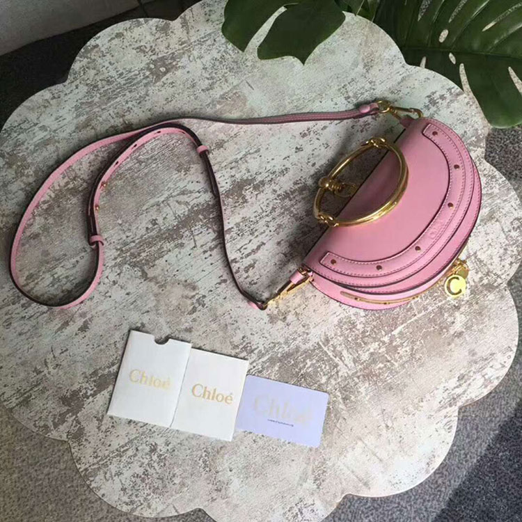 2018 Chloe NILE MINAUDIERE