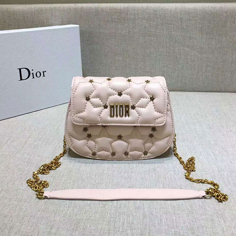 2018 DIOR Ling BAG