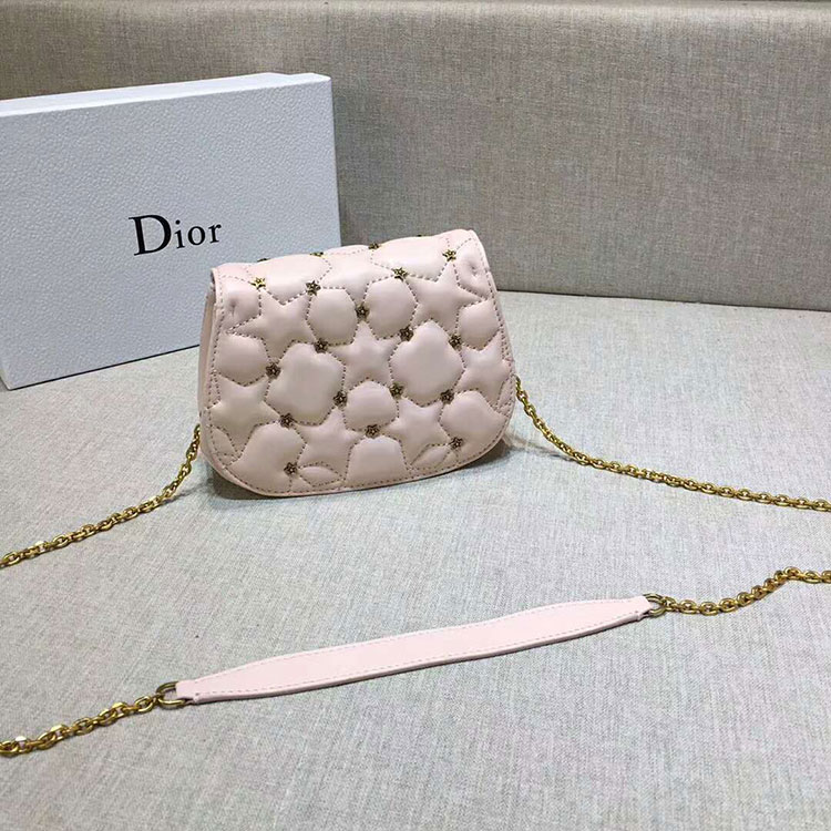 2018 DIOR Ling BAG