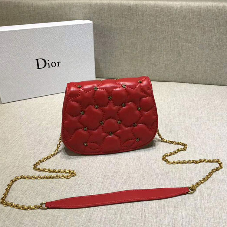 2018 DIOR Ling BAG