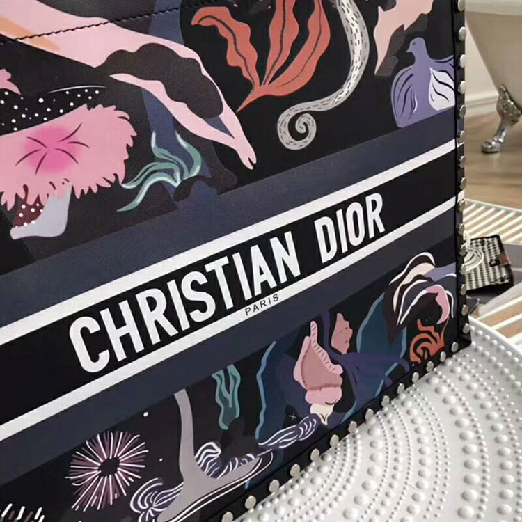 2018 Dior Book Tote bag