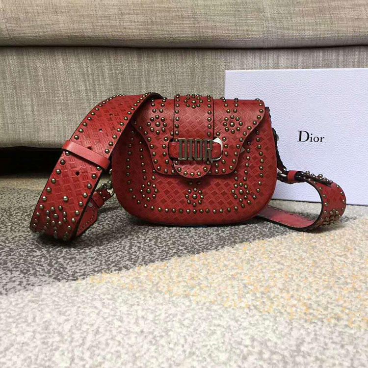 2018 Dior D-FENCE SADDLE BAG IN STUDDED CALFSKIN