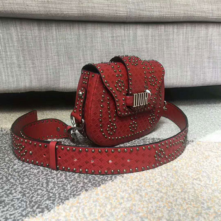 2018 Dior D-FENCE SADDLE BAG IN STUDDED CALFSKIN