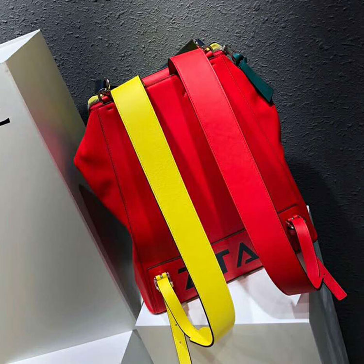 2018 Loewe Goya Backpack