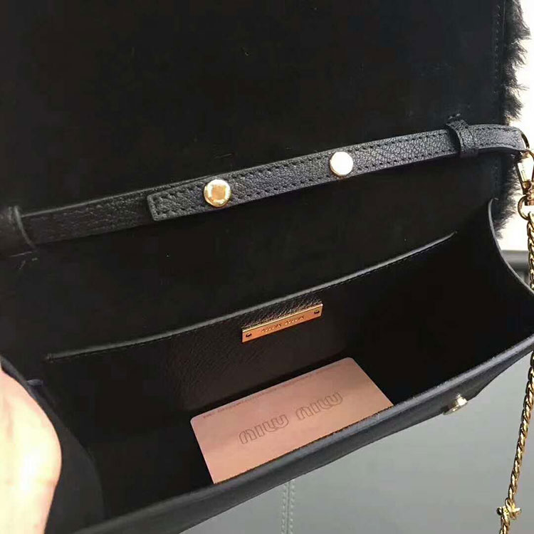 2018 MiuMiu CLUTCH