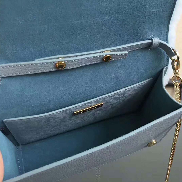 2018 MiuMiu CLUTCH