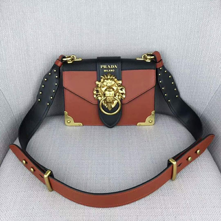 2018 Prada Women cahier bag