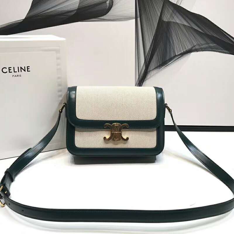 2019 Celine MEDIUM TRIOMPHE BAG IN TEXTILE AND NATURAL CALFSKIN