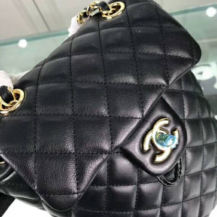 2019 Chanel Backpack